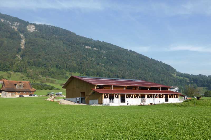 birrerbau-walchwil-hochbau-ställe-kenel-arth