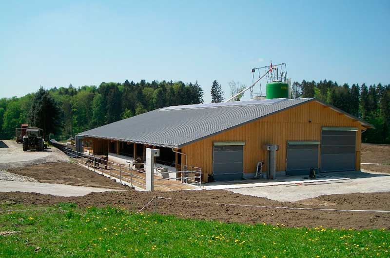 birrerbau-walchwil-hochbau-ställe